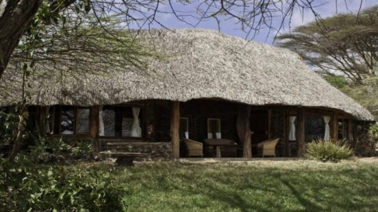 A safari lodge with a large thatched roof and wooden support beams in a grassy area with trees.