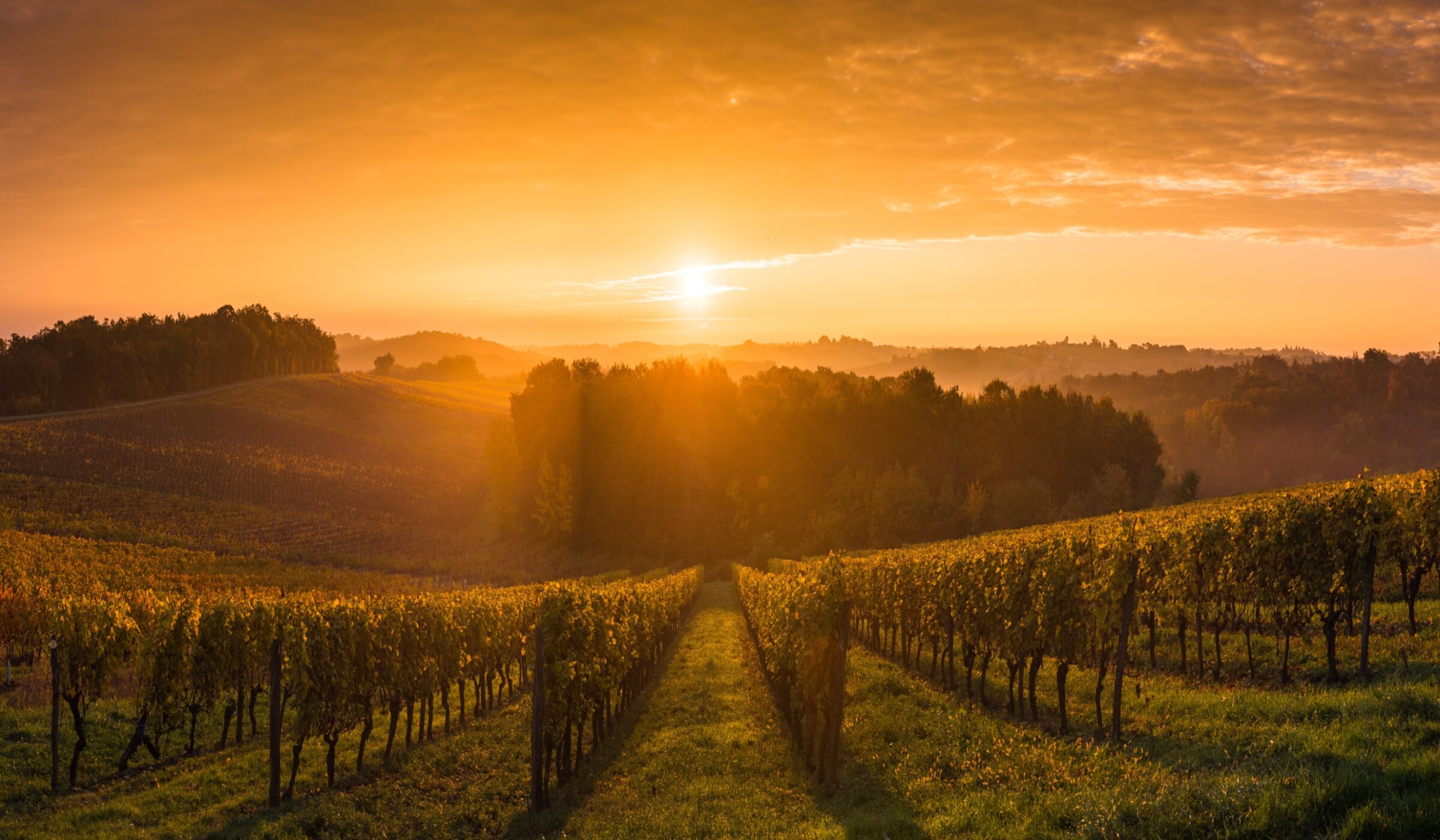 Four nights in UNESCO-listed Bordeaux