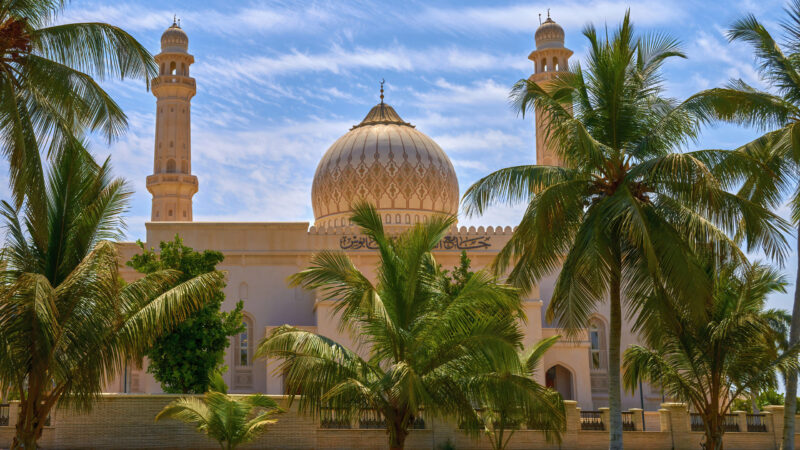 A beautiful white mosque with golden domes seen through palm fronds on luxury Oman trips.