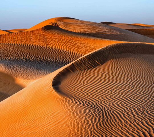 Endless dunes in the Empty Quarter