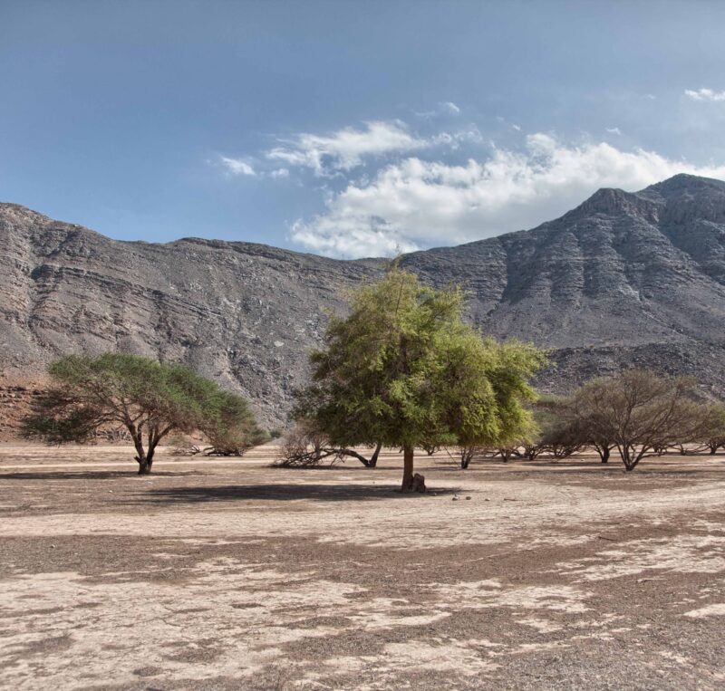 Amazing scenery in Musandam peninsula, Oman