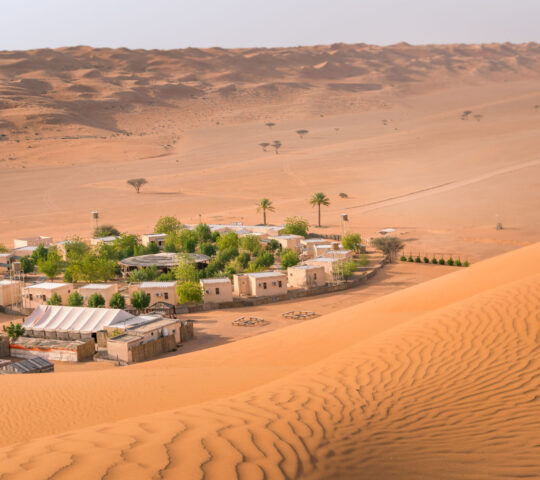 An oasis emerges from the desert sands