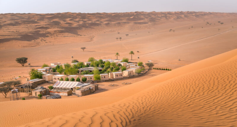 Small camp with trees in the middle of Arabian desert. Oasis in Wahiba Sands, Oman. Hot day in the dunes of Arabian peninsula Small camp with trees in the middle of Arabian desert. Oasis in Wahiba Sands, Oman. Hot day in the dunes of Arabian peninsula. oman, arabia, desert, wahiba sands, dry, adventure, arabian, arid, asia, asian, background, beautiful, camp, dune, dunes, dust, east, explore, green, heat, holiday, hot, landscape, middle east, nature, oasis, orange, outdoor, pattern, peninsula, persian gulf, safari, sand, scenic, sky, steaming, summer, tents, tourism, travel, trees, vacation, warm, oman, arabia, desert, wahiba sands, dry, adventure, arabian, arid, asia, asian, background, beautiful, camp, dune, dunes, dust, east, explore, green, heat, holiday, hot, landscape, middle east, nature, oasis, orange, outdoor, pattern, peninsula, persian gulf, safari, sand, scenic, sky, steaming, summer, tents, tourism, travel, trees, vacation, warm