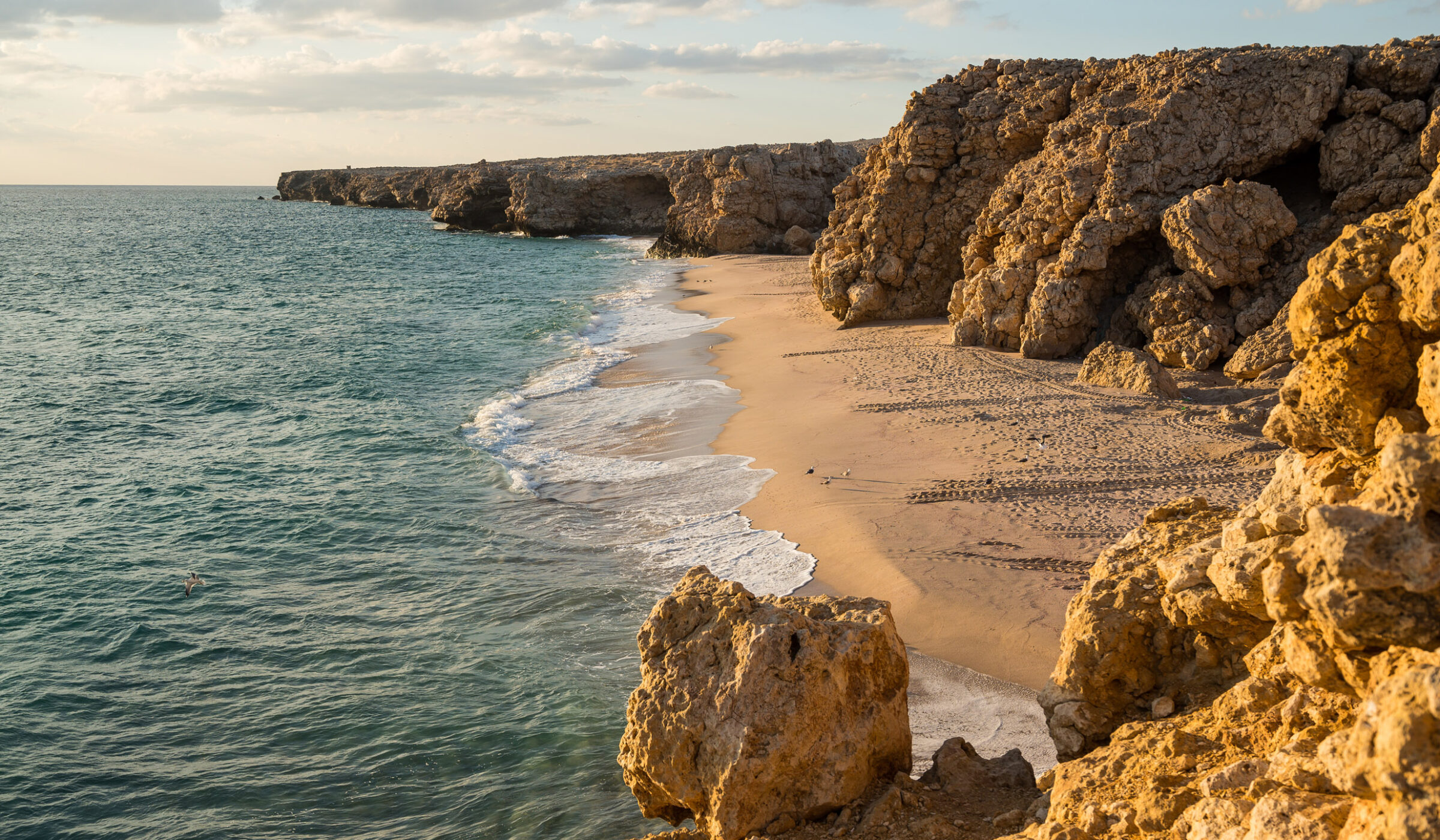 Ras al Jinz