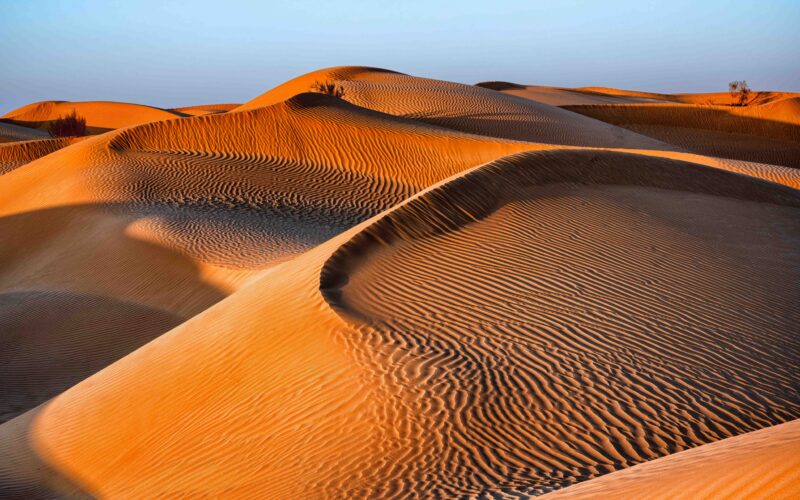 Golden sand dunes with intricate wind-swept ripple patterns captured on luxury Oman holidays.