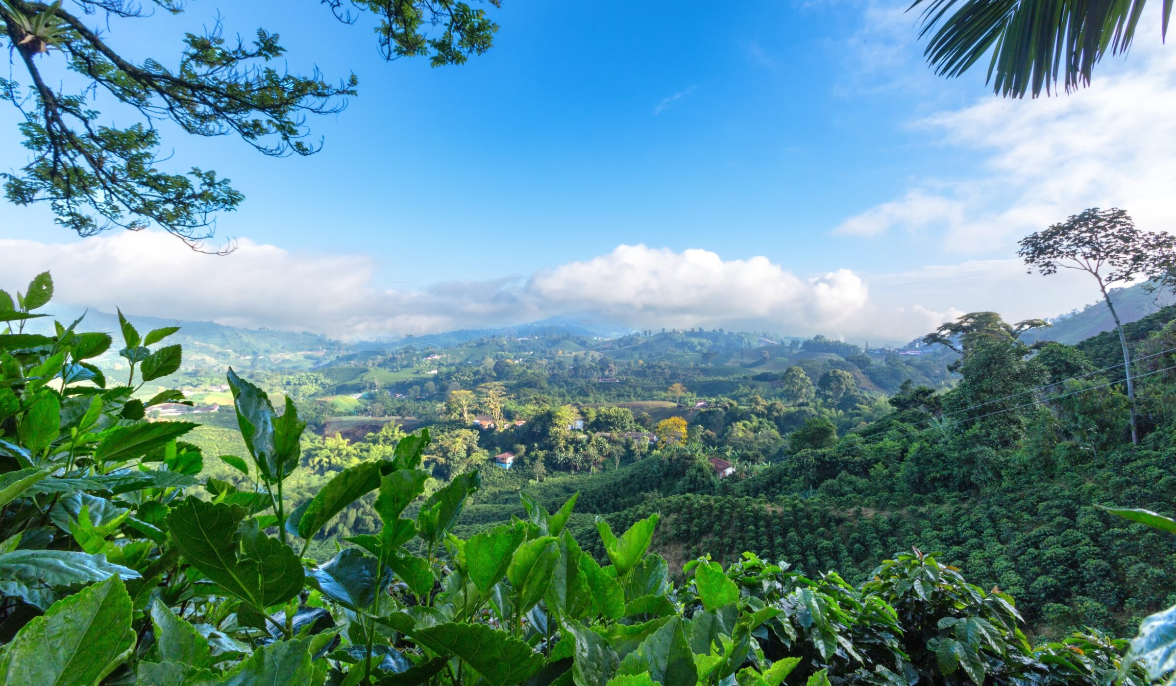 Scenic view of a lush green valley with rolling hills and dense vegetation under a clear blue sky.