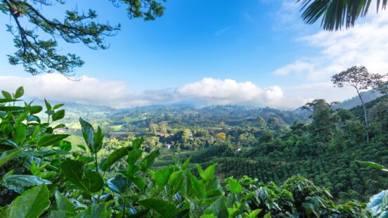 Scenic view of a lush green valley with rolling hills and dense vegetation under a clear blue sky.