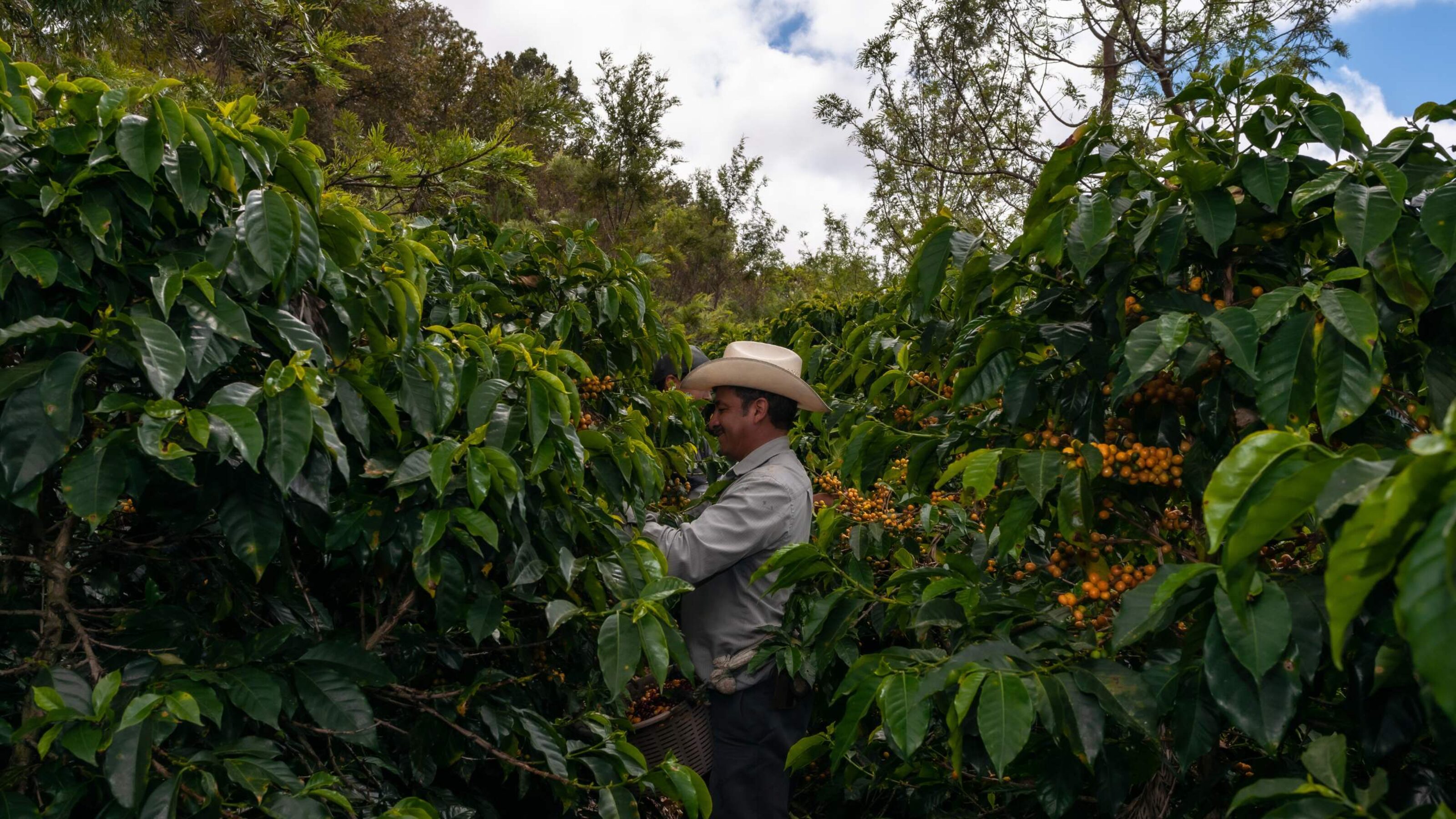 A Family Exploration of Guatemala