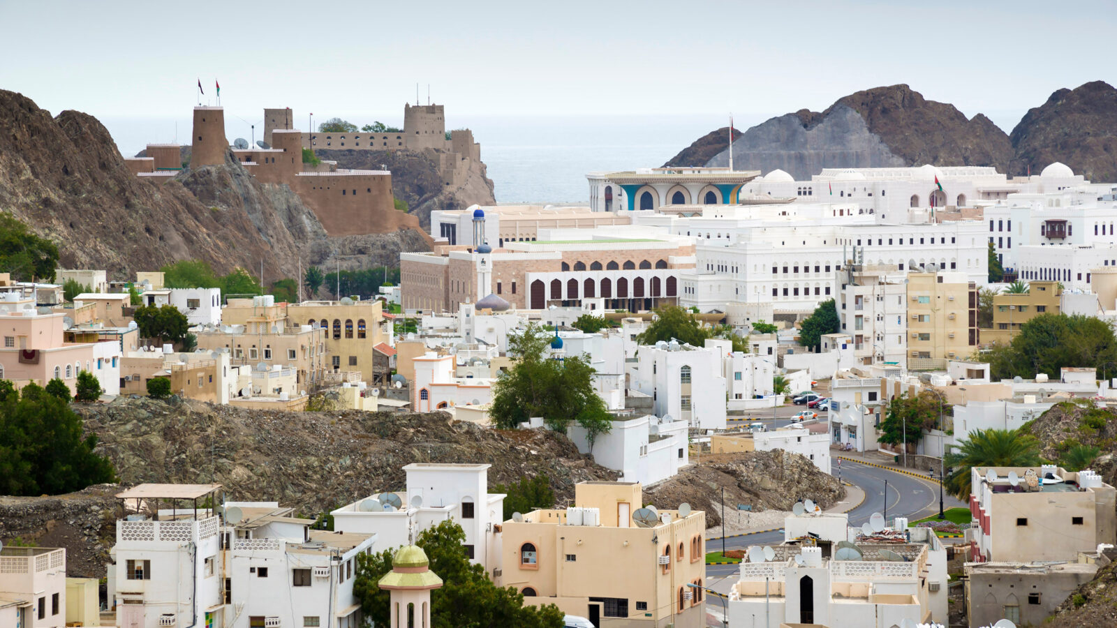 Luxury Muscat Tours, Private & Tailor-made 2026/2027
