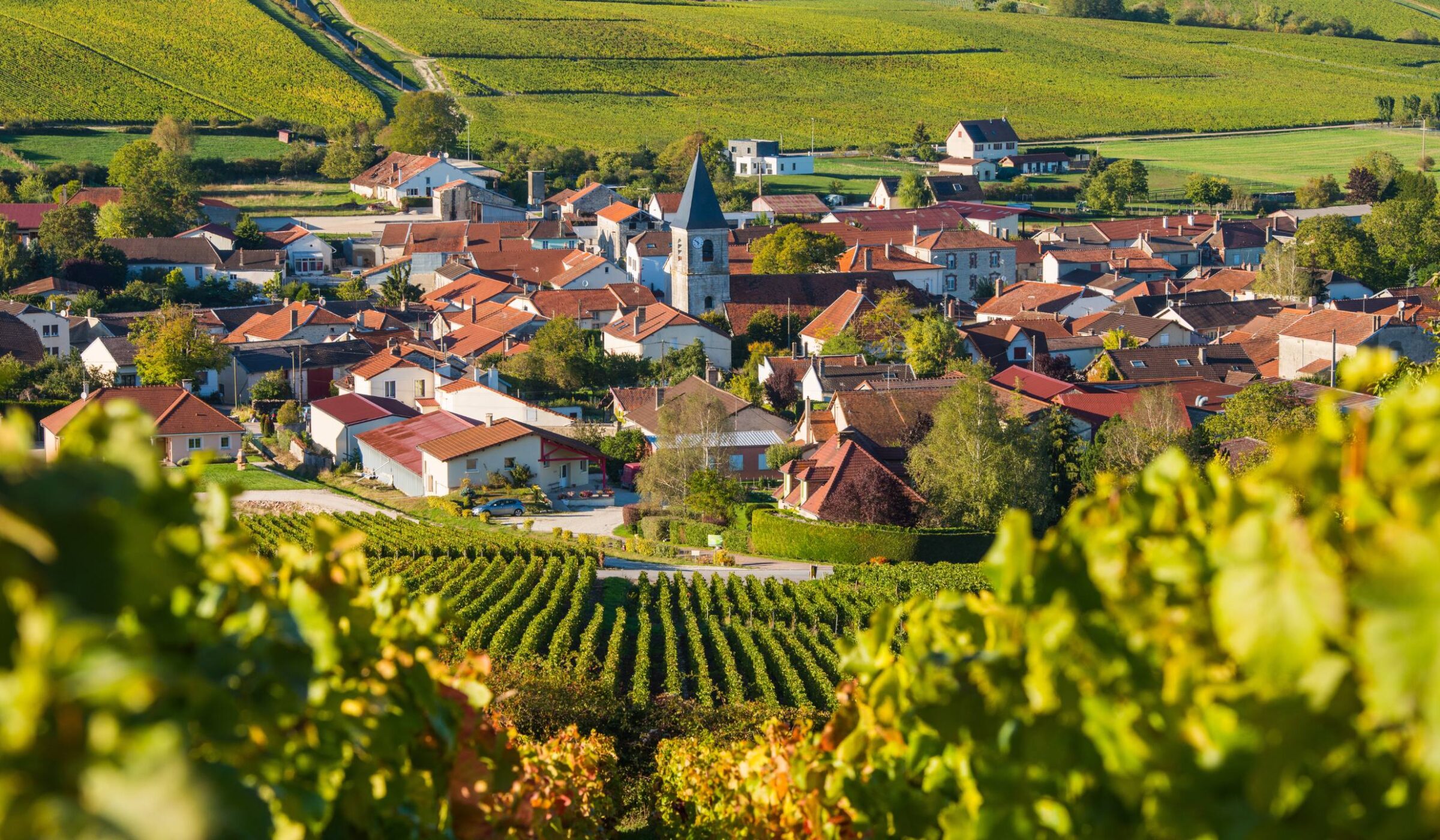 Two sparkling nights in Champagne