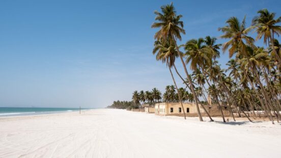 Row of leaning palm trees along a wide white sand beach and blue ocean under a clear sky.