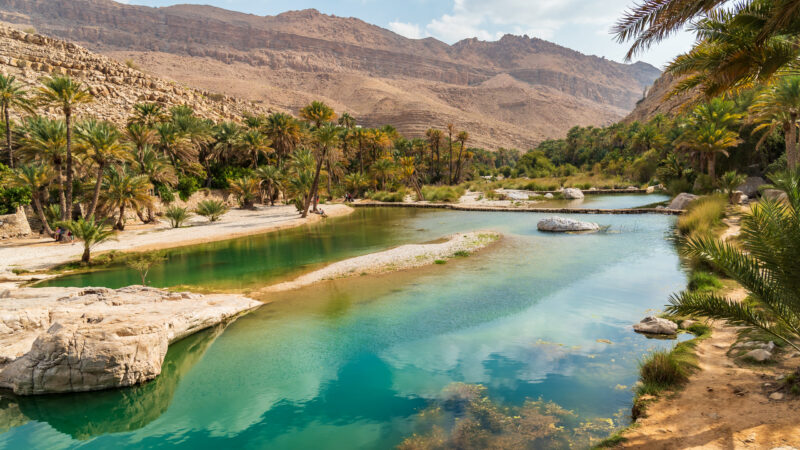 An oasis with clear blue-green water, lined with palm trees and surrounded by steep, rocky, desert mountains. Luxury Middle East tour.