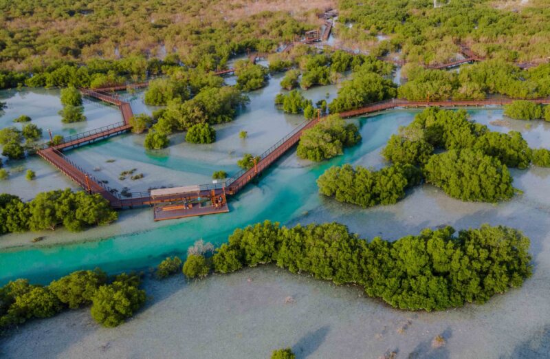 Aerial view of a wooden boardwalk through green mangroves for luxury United Arab Emirates vacations.