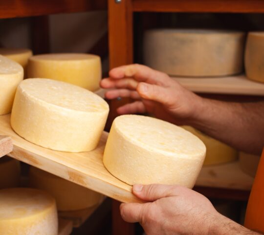Cheese making