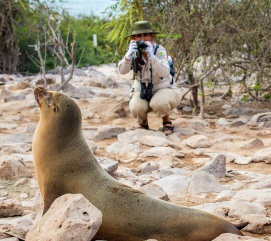 A sea lion basks in the sun