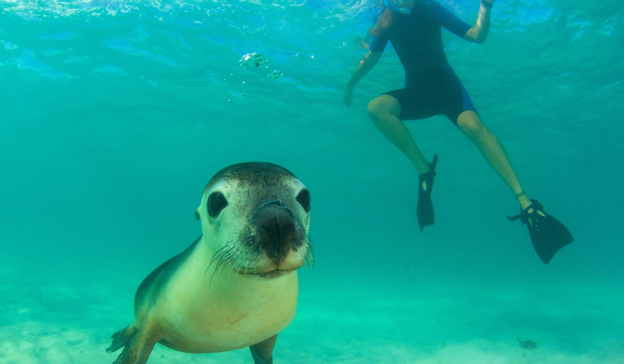 Enjoy five nights cruising the Galápagos Islands