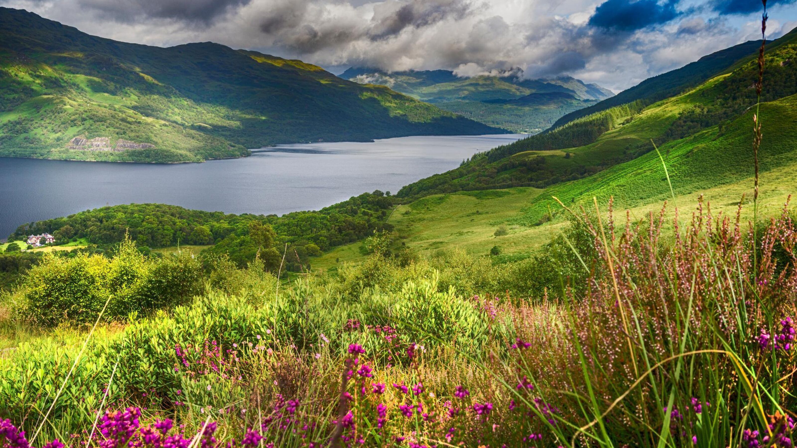 Loch Lomond from the Slopes of Ben Lomond