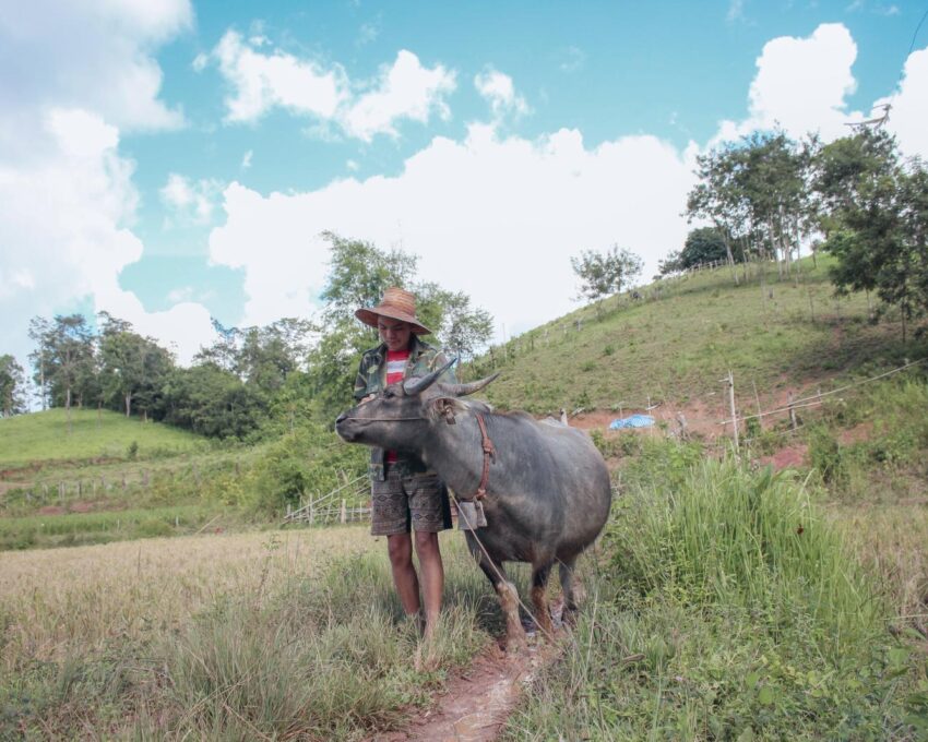 Visit the Siem Reap countryside