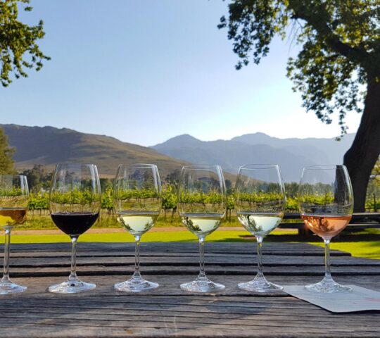 Wine tasting in Stellenbosch