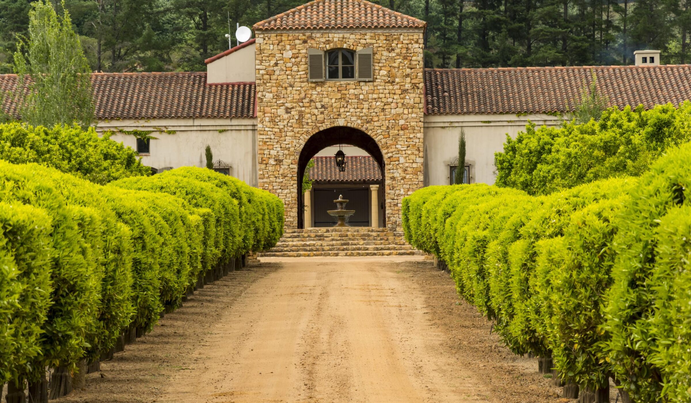 Discover South Africa's Winelands