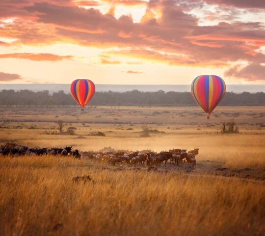 Hot air balloons cross the plains