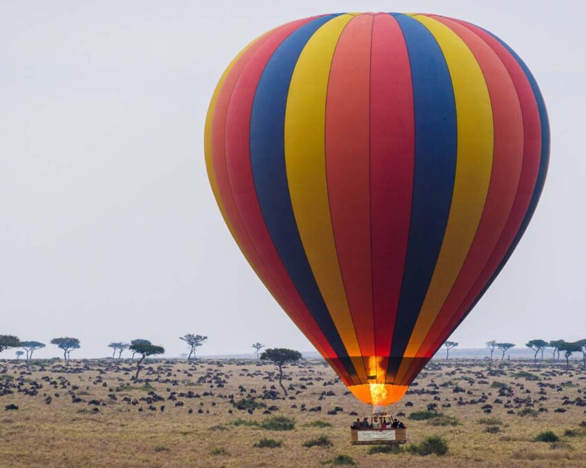 Explore the Maasai Mara