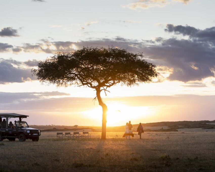 A snapshot of the Mara Conservancies