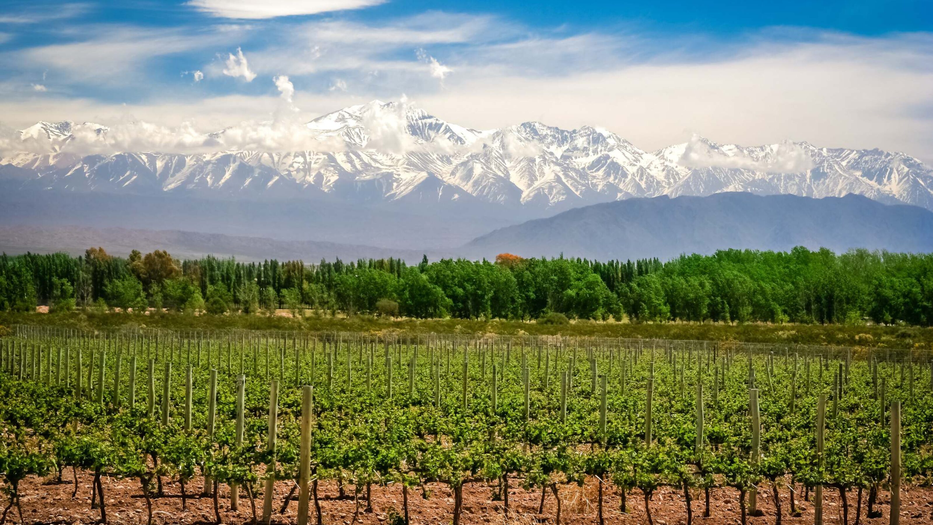 Foodie Uruguay and Argentina
