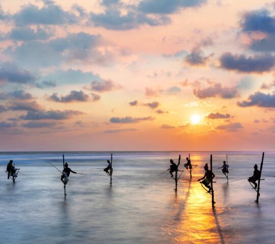 Fishermen on stilts at sunset in Galle