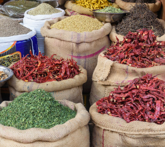 At the spice market in Udaipur