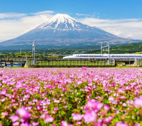 A bullet train speeds passed Mount Fuji