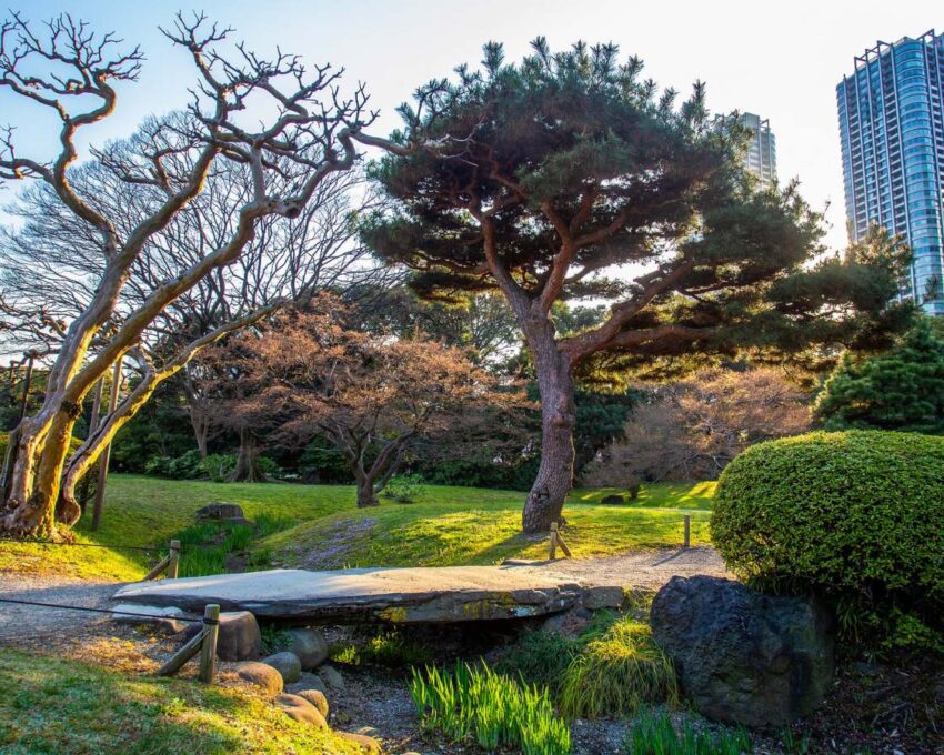 A private city tour for your family