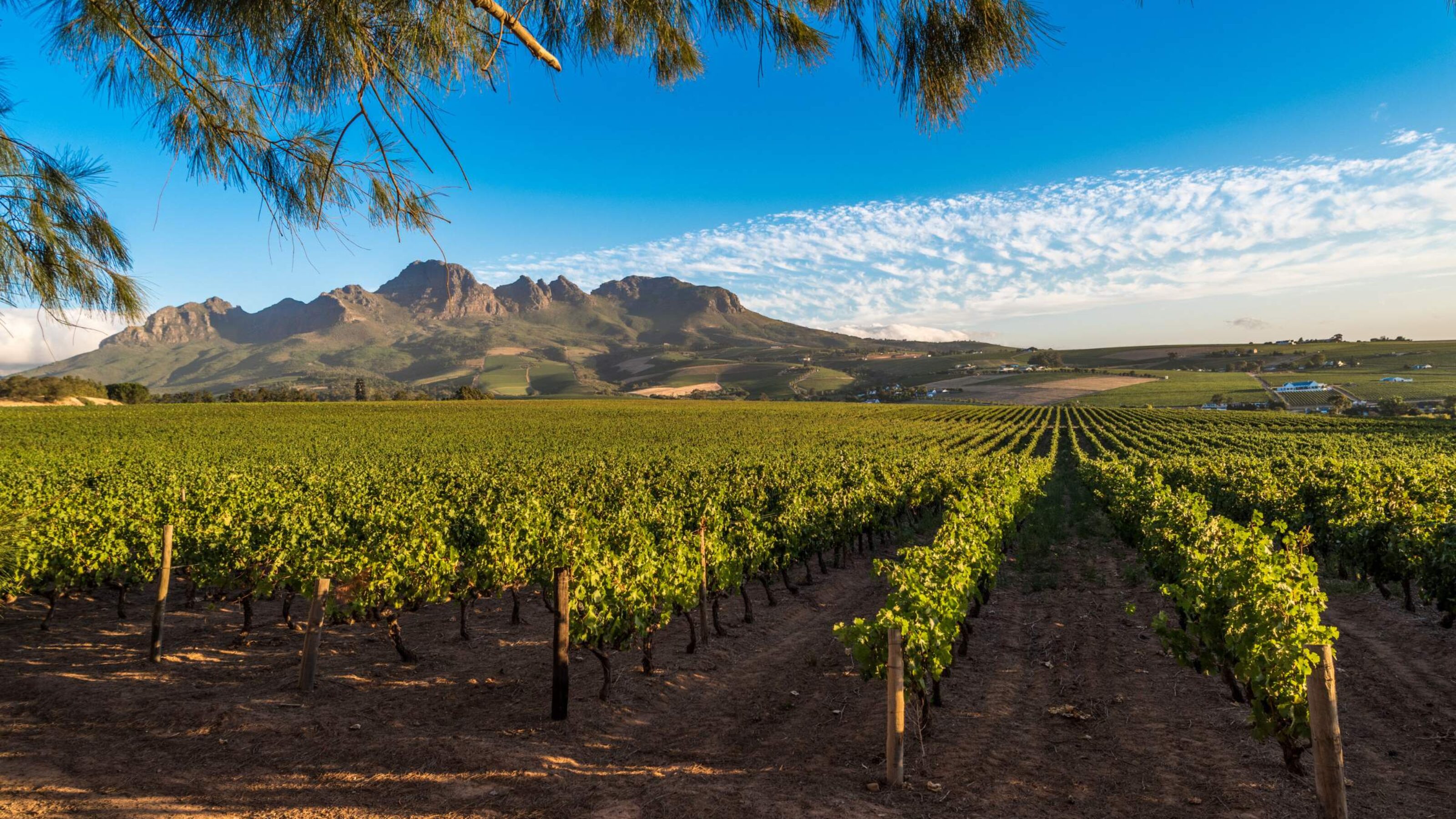 A Luxury Rail Journey Through Africa