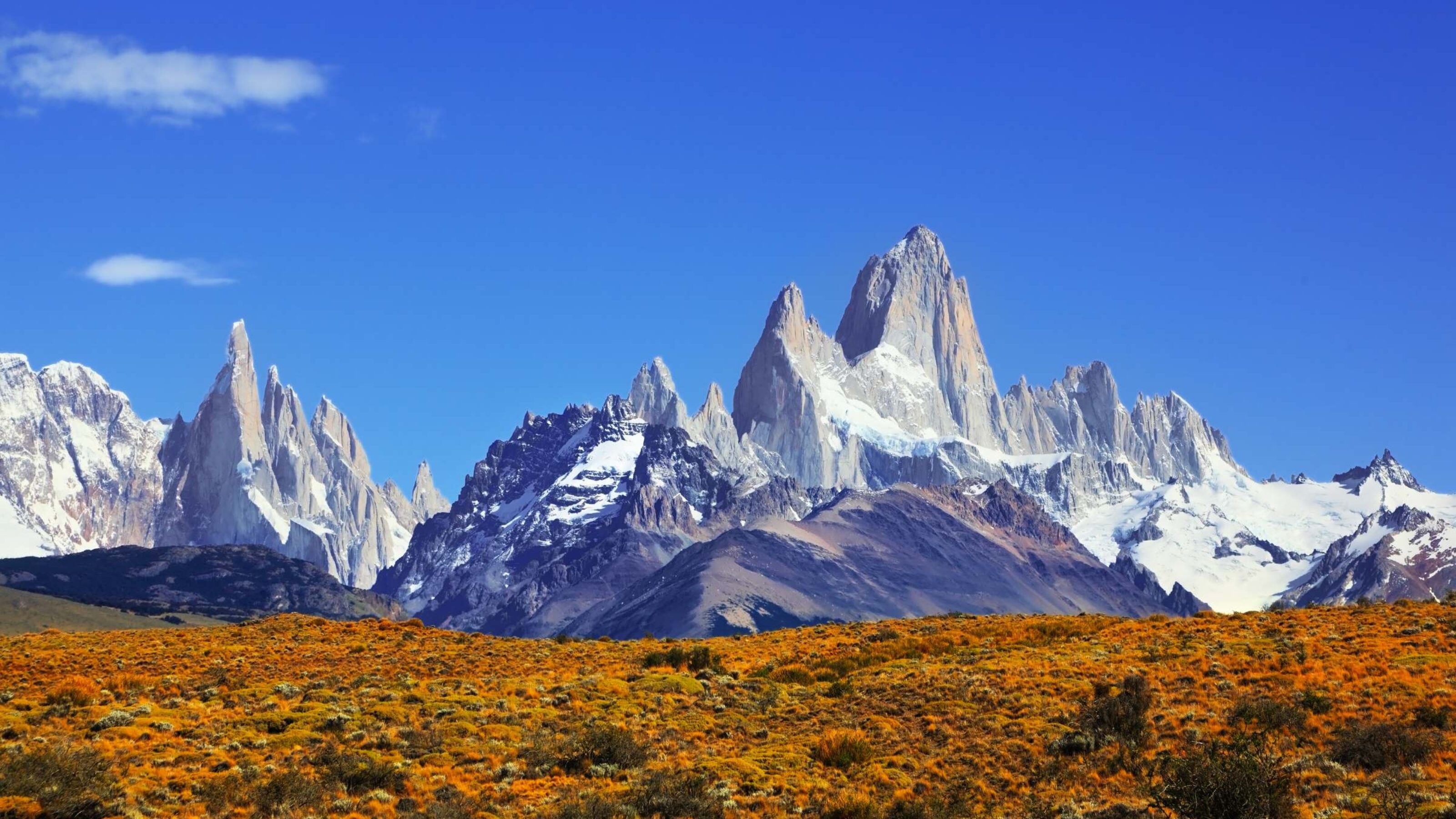 Total Patagonia Vacation