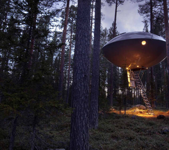 A remarkable stay at the Treehotel