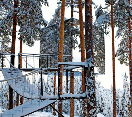 A night in Treehotel's Mirrorcube