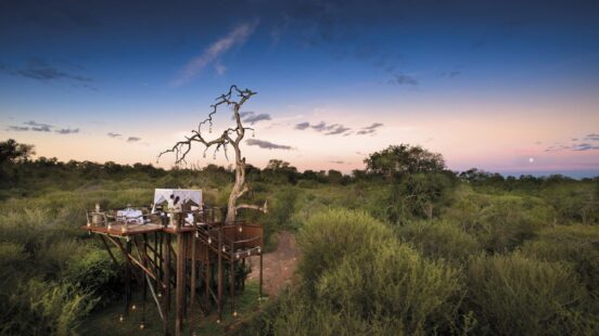 Chalkley Treehouse lions sands river lodge