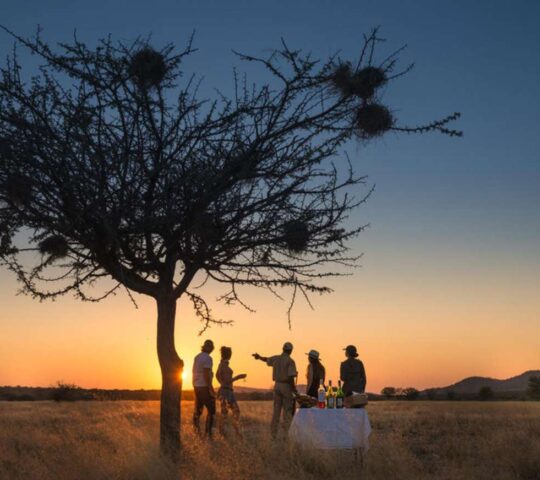 Sundowners on safari at Ongava, Etosha National Park