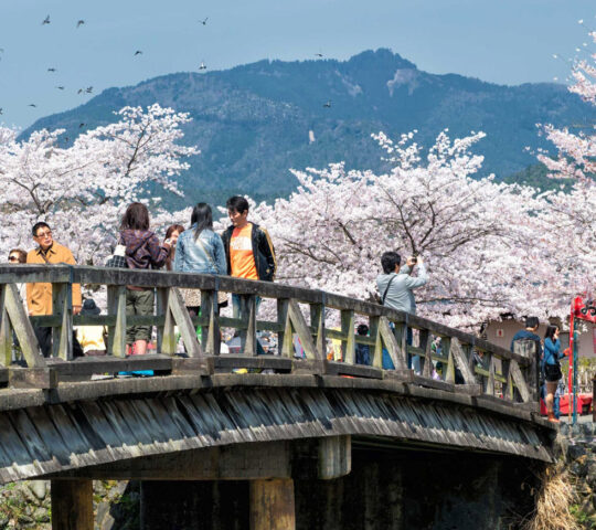 The bridge at Arashiyama