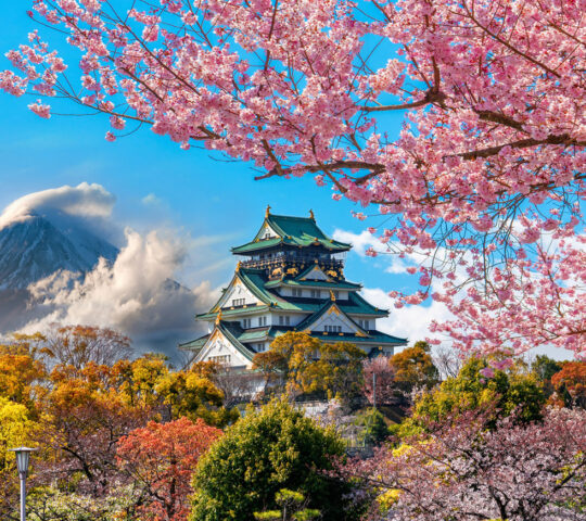 Osaka castle