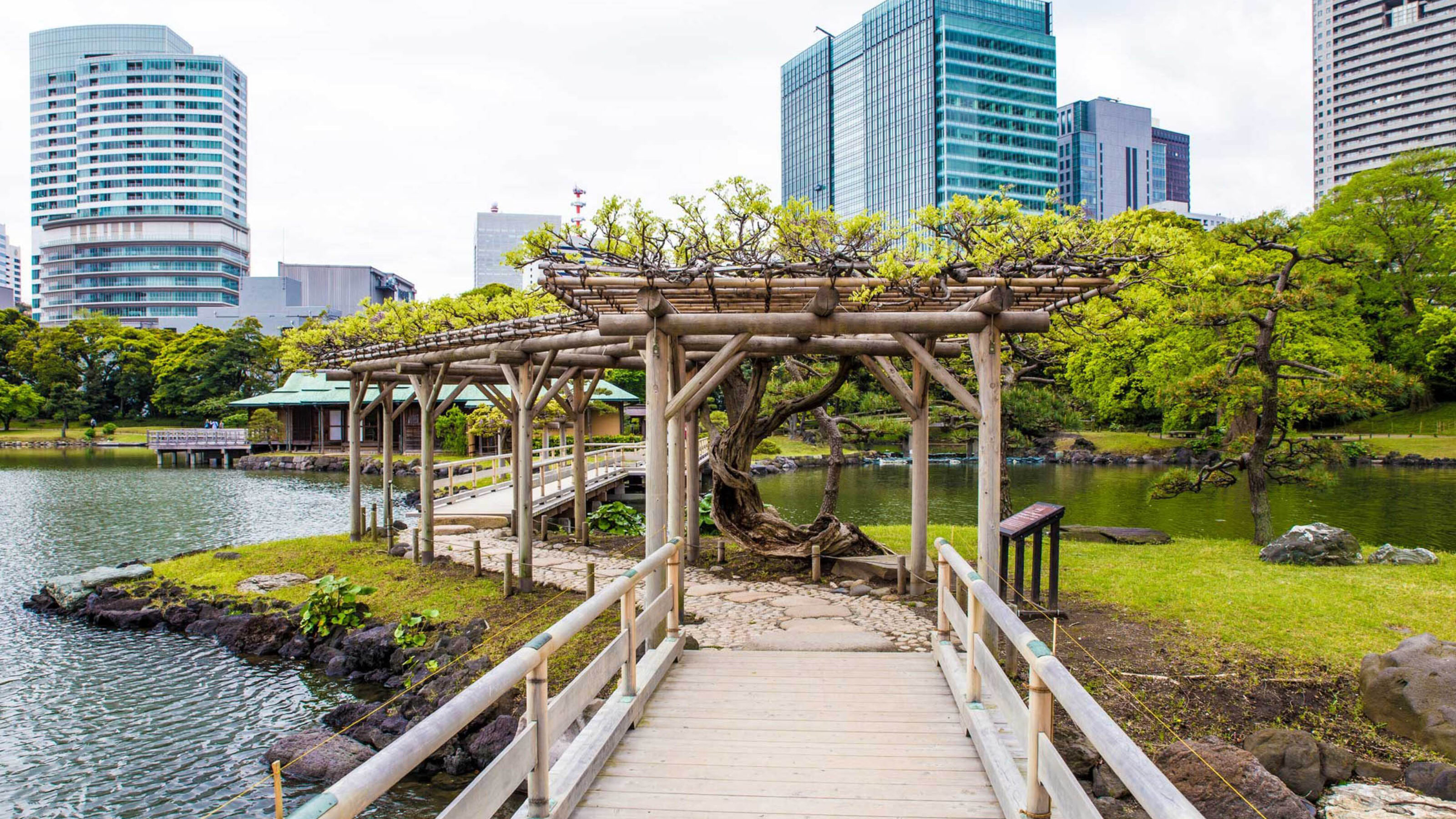 A wooden pathway and trellis in a green park with a pond, surrounded by city high-rise buildings.