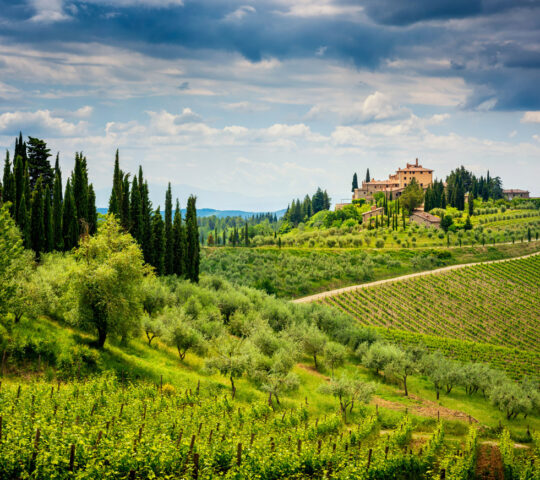 Chianti wine region