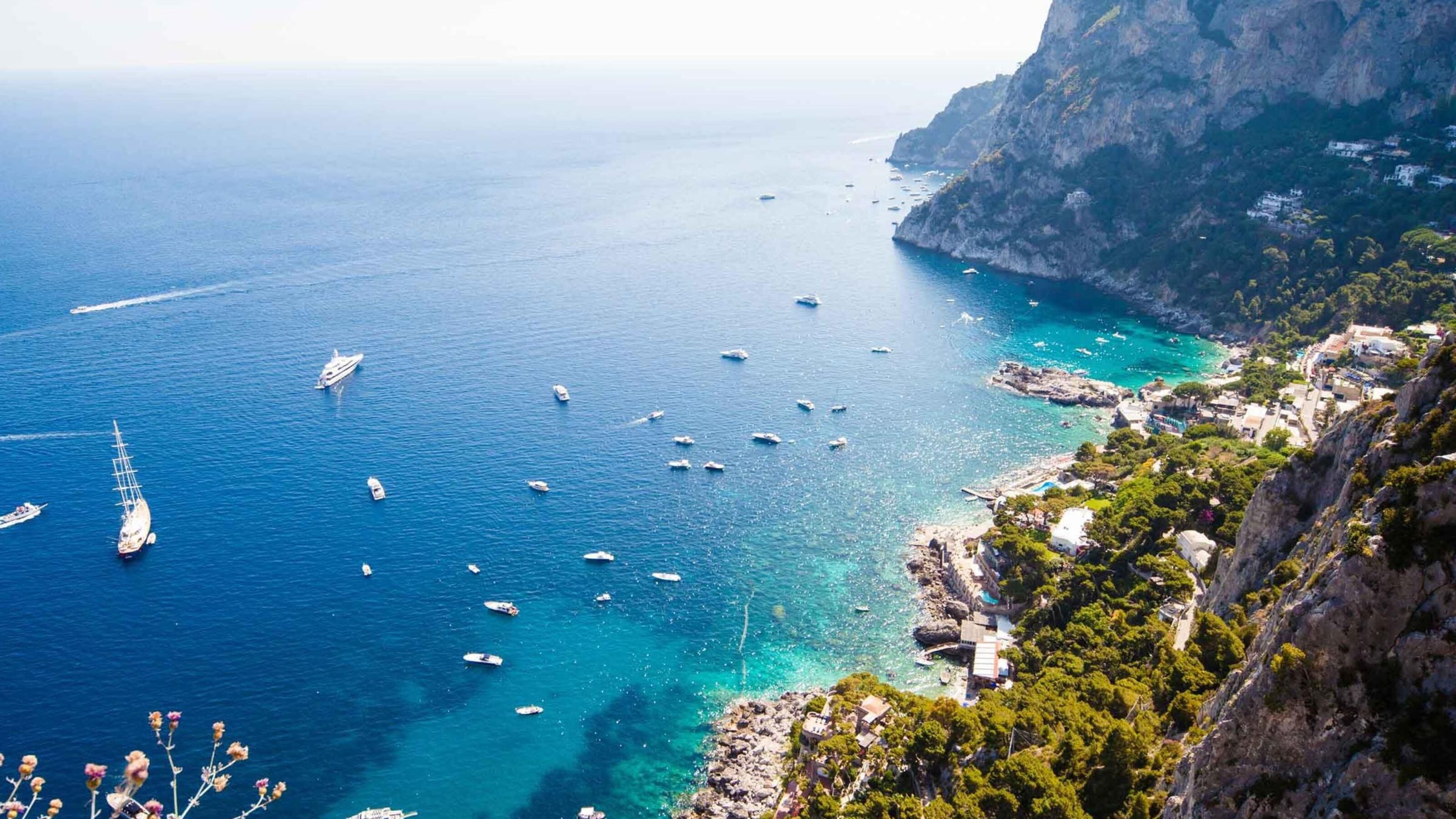 High-angle view of a sparkling blue bay filled with many small boats next to steep, tree-covered cliffs.