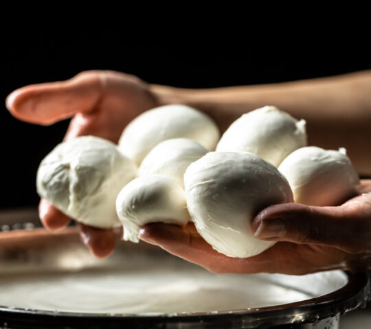 Handmade mozzarella