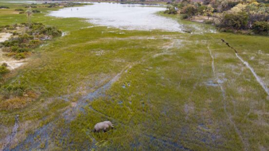 Aerial of Abu Concession Okavango Delta