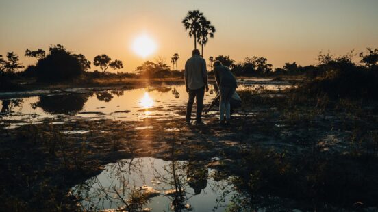 Embarking on an evening walking safari in the Okavango Delta, Botswana
