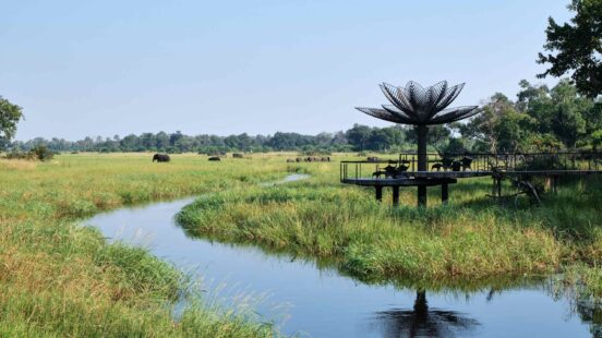An elevated observation deck near a winding river with elephants grazing in the background landscape.