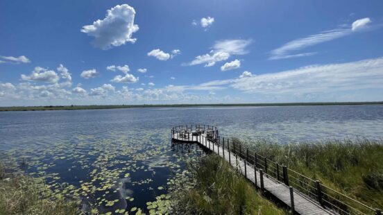 A long wooden walkway leads to a circular observation deck over a calm lake filled with lily pads. The scene is set under a bright blue, cloudy sky.
