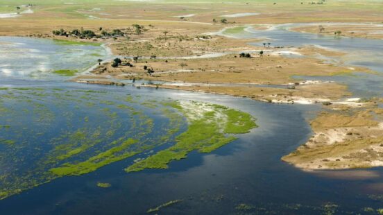 High-angle view of a river winding through a vast wetland and savanna landscape.
