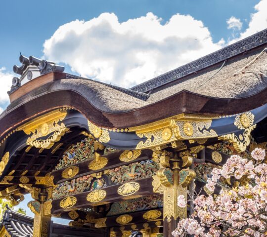 Cycle to Nijo Castle